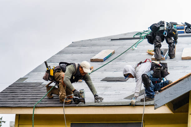 Professional Gutter Installation technician working in Riverton, IL